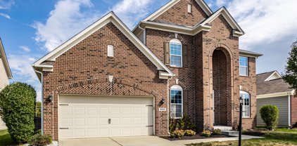 6153 Silver Maple Way, Zionsville