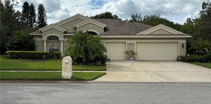 1507 Lake Parker Drive W, Odessa