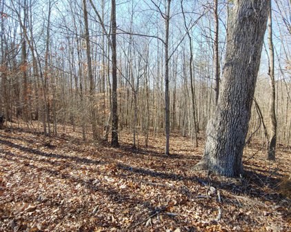 Horseshoe Bend  Rd, Goodview