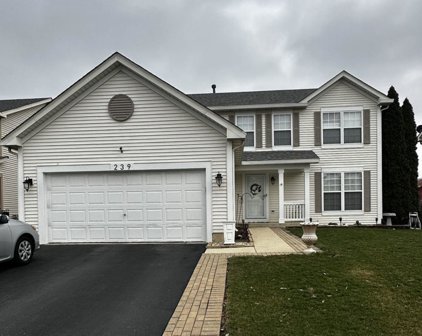 239 Tammanny Lane, Romeoville