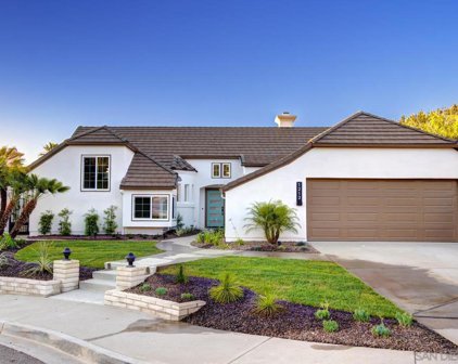1212 Las Nubes Ct, San Marcos