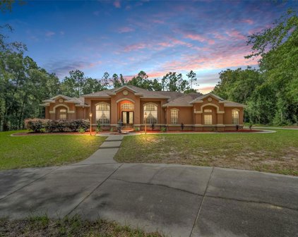 15124 Morgan Lane, Brooksville