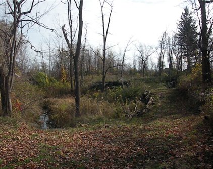 1305 & 1309 Lake  Road, Webster-265489