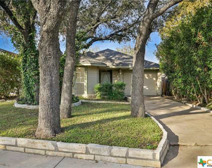 16822 Whitebrush Loop, Austin