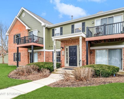 1312 Mcdowell Road Unit #201, Naperville