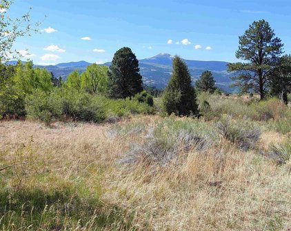 1777 Bear Creek Cir, South Fork