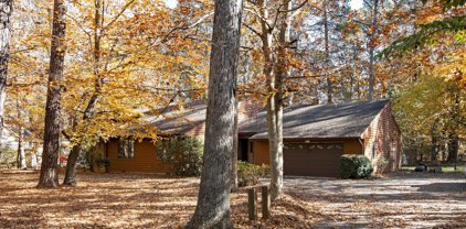 8559 Dogwood Blossom Ln, Denton