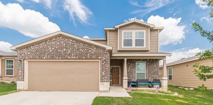 425 Nova Zembla, New Braunfels