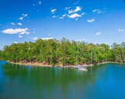 1530 Saugus Court, Chapin image