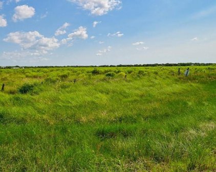 Fm 2918, Brazoria