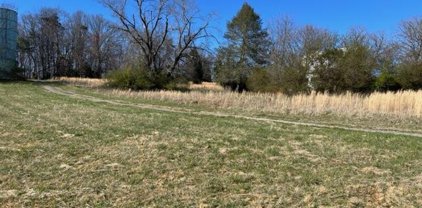Lot 1 Virginia Ridge  Dr, Hardy