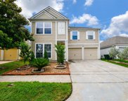 12819 Wisteria Park Drive, Houston image