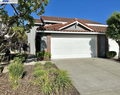 20042 Rawhide Way, Castro Valley