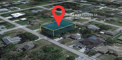 10564 Marysville Street, Spring Hill