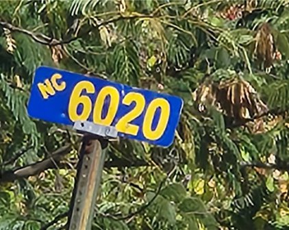 Highway 7 & NC 6020, Jasper