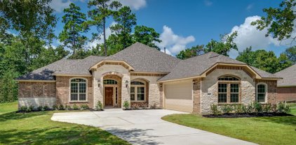 7319 Ramblewood Drive, Magnolia