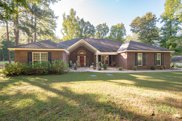 6460 Ga Hwy 219, Fortson image
