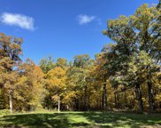 12920 Francis Road, Mokena image