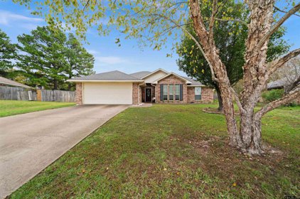 20510 Bluegrass CIr, Flint