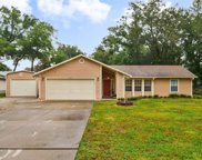 25715 Timuquana Drive, Sorrento image