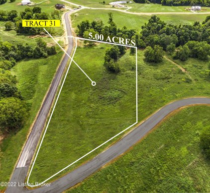 Tract 31 Stallard Springs, Shelbyville