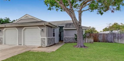 3253 Hibiscus Drive, Palm Harbor