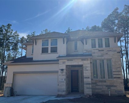 100 Pineview Cove Court, Montgomery