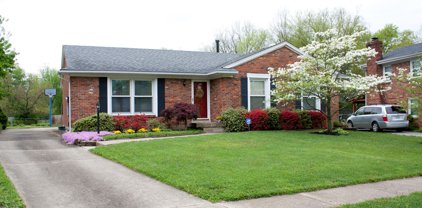 9206 Auburn Ave, Jeffersontown