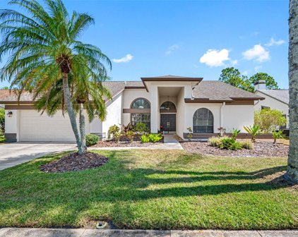 3229 Glenridge Court, Palm Harbor