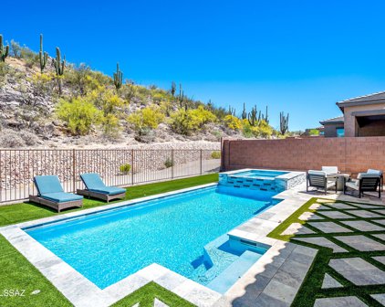13489 N Mariposa Lily, Oro Valley