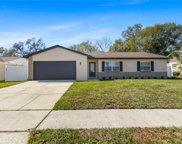 2743 Poppyseed Court, Clearwater image