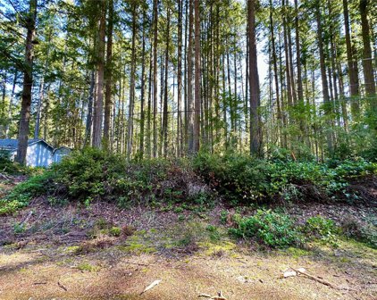 9209 123rd ave, Anderson Island