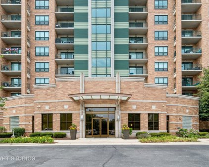 6420 Double Eagle Drive Unit #509, Woodridge