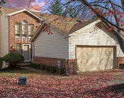 12931 Banyan Town  Drive, St Louis image
