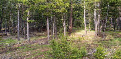 Lot 80 Lakeview, Georgetown Lake