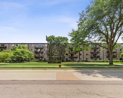 2315 E Olive Street Unit #4H, Arlington Heights