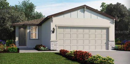 7237 Amelia River Drive, Parrish