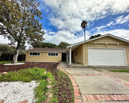 1466 Lewiston DR, Sunnyvale