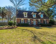 725 Chatter Road, Mount Pleasant image