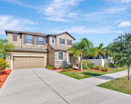 8016 Whitetail Deer Way, Tampa