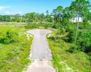 57 Carraway Ln, Carrabelle image