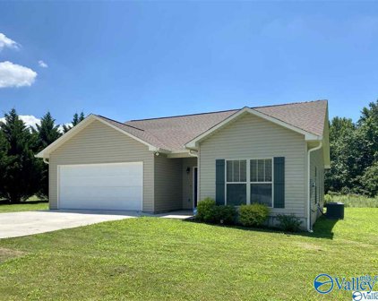 168 Tessa Circle, Albertville