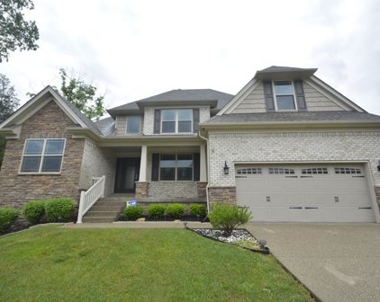 193 River Falls Dr, Mt Washington