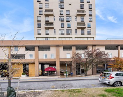 28 Allegheny Ave Unit #1201, Towson