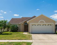 697 Eagle Pointe  S, Kissimmee image