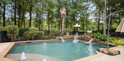 26722 Winding River Trail, Huffman