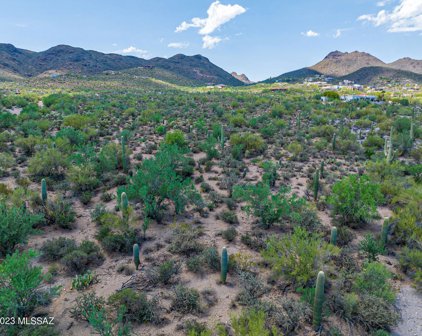 865 N Camino De Oeste, Tucson