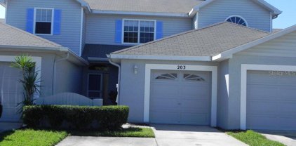 203 Hemingway Drive, Oldsmar