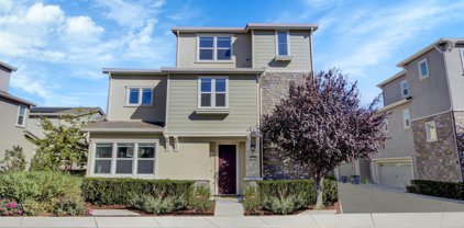 3951 Scottfield St, Dublin