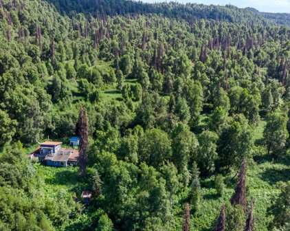 2187 N Parks Highway, Talkeetna